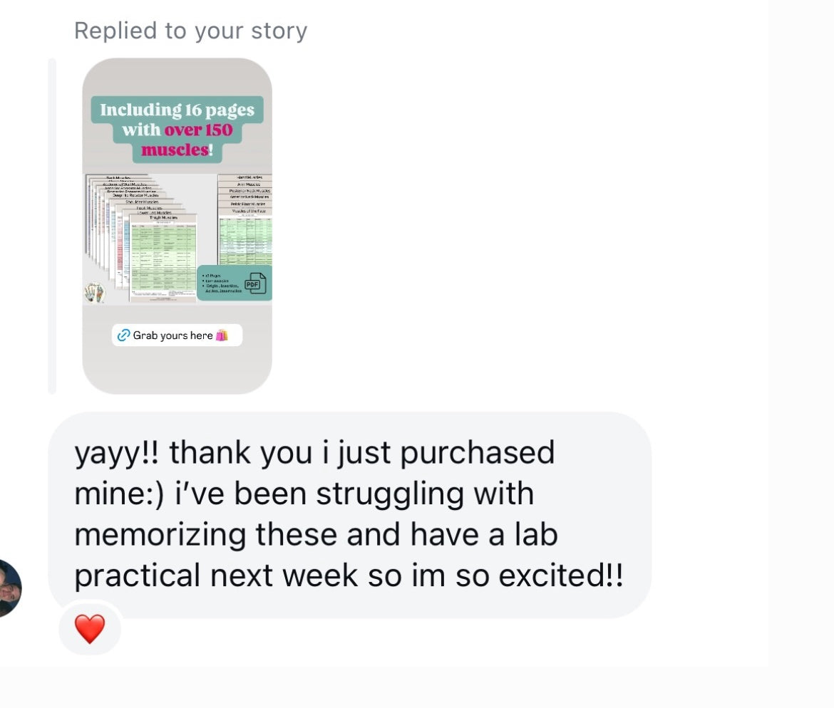 Muscle Guide - PDF Download