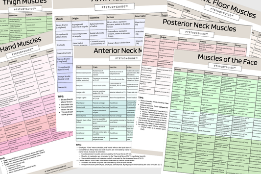 Hard Copy Flashcards + Digital NPTE Study Bundle