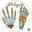 Official PTstudyguide Shop and Blog Page logo