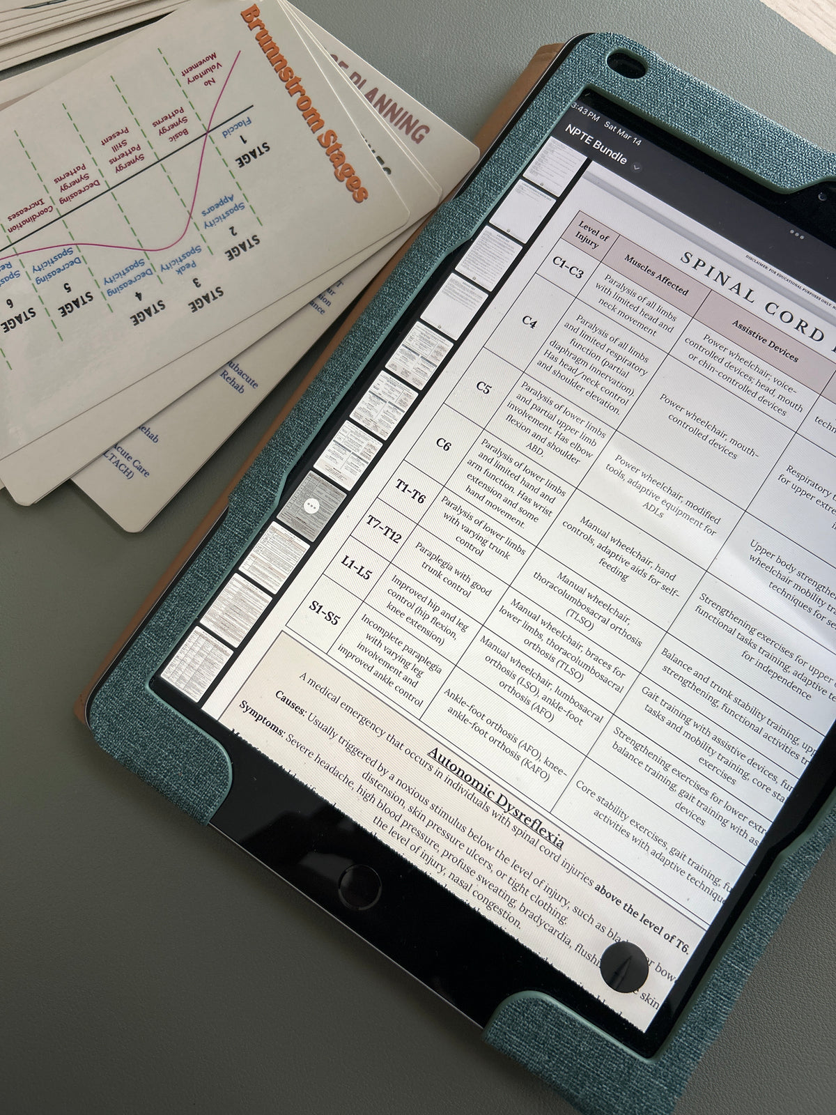 Harf Ree Flash Card Hard Copy Flashcards + Digital NPTE Study Bundle – Ptstudyguide