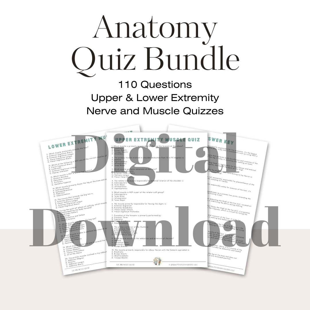 Anatomy Quizzes - Upper and Lower Extremity Muscles & Nerves