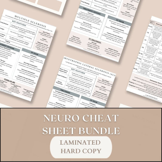 Neurological Conditions Cheat Sheet Bundle